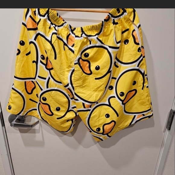 2XL CARTOON DUCK SHORTS/SWIM TRUNKS WITH WHITE MESH ON THE INSIDE. - Picture 2 of 7